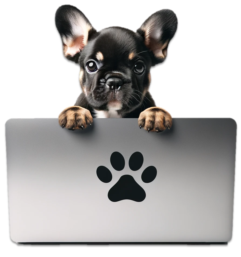 four French bulldog puppies, each wearing a top hat with a different national flag design and smiling. From left to right: a grey puppy with a Union Jack top hat, an Isabella puppy with an American flag top hat, a black puppy with an Australian flag top hat, and a merle puppy with a Canadian flag top hat, all set against a plain white background.